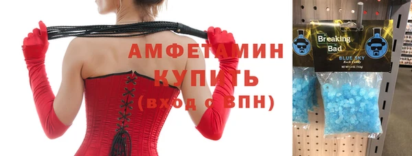 индика Володарск
