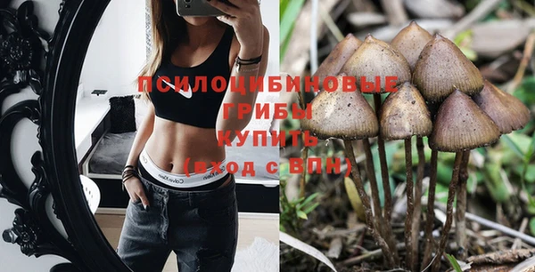 спиды Балахна