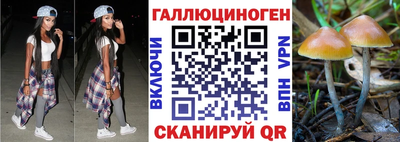 Псилоцибиновые грибы ЛСД  наркошоп  Новокубанск 